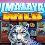Slot Himalayan Wild: Keberuntungan Besar di Puncak Himalaya