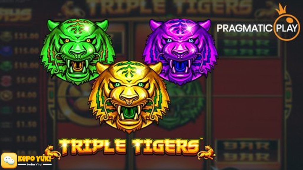 Gas Terus Main Triple Tigers di Rtp8000 Biar Saldo Meledak Besar