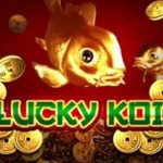 Cnnslot Tempat Terbaik Main Permainan Slot Online Lucky Koi