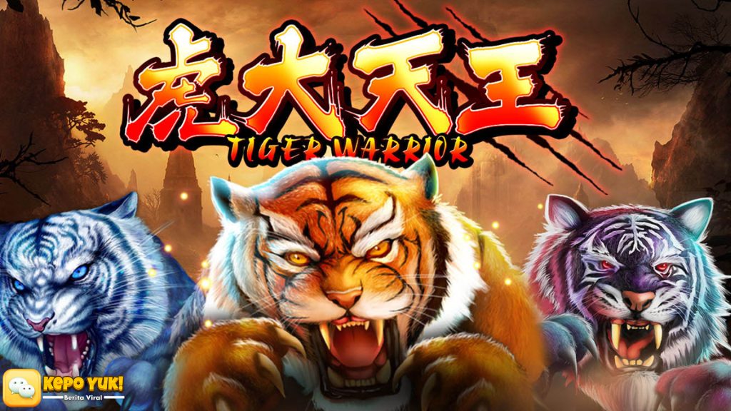 Rtp8000 dan Tiger Warrior Siap Jadi Bintang Dalam Taruhan Slot