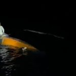 Perahu Terbalik, 4 Nelayan Belitung Timur Bertahan di Ombak
