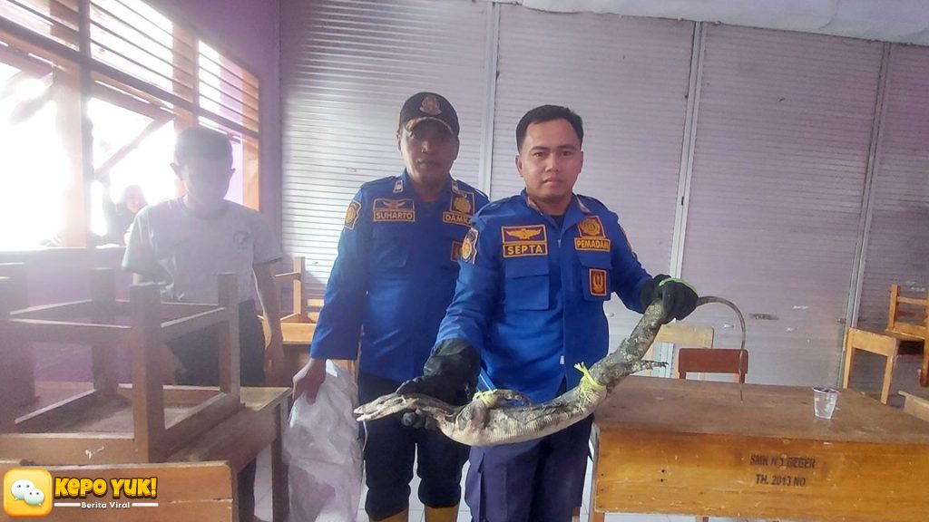 Biawak Berani Masuk Kelas SMKN 1 Madiun, Damkar Penyelamat