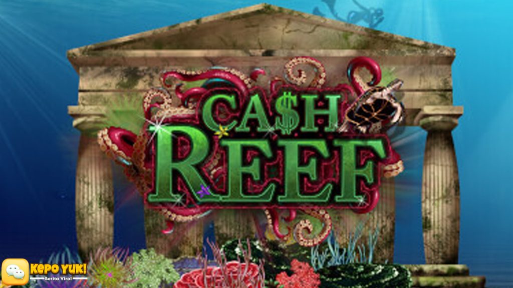 Rtp8000 dan Slot Cash Reef Kombinasi Hebat Raih Rejeki Instan