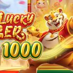 Detail Baru Cnnslot Yang Terhubung Dengan Lucky Tiger 1000