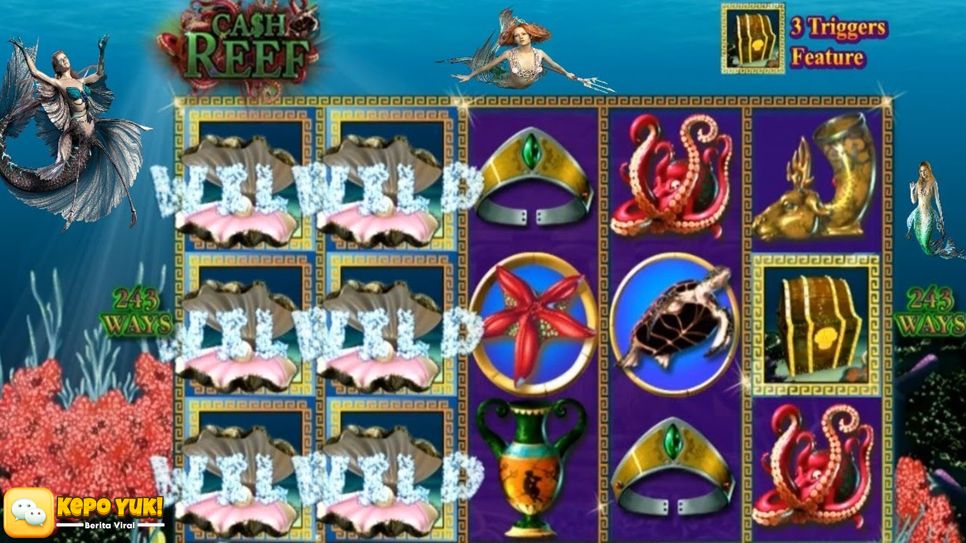 Rtp8000 dan Slot Cash Reef Kombinasi Hebat Raih Rejeki Instan