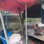 Bocah Tewas di Ayunan, 4 Fakta Penting yang Perlu Diketahui Publik