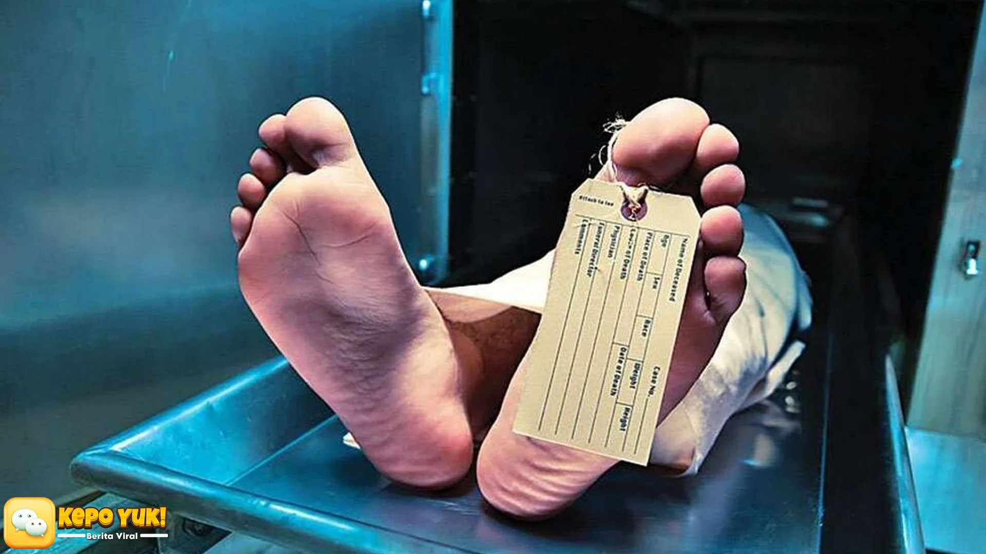 Dari Anak Bunuh Ibu Medan Hingga Polisi Periksa 2 Anggota Keluarga