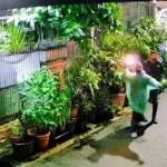 Teror Bangkai Ayam dan Bom Molotov di Rumah DJ Donny Terjadi 5 Kali