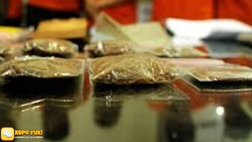 Heboh Penangkapan 3 Pria di Tanah Abang Ungkap Ganja 15,5 Kilogram