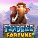 Tundras Fortune Bawa 4 Konsep Desain dan Inovasi Terpenting