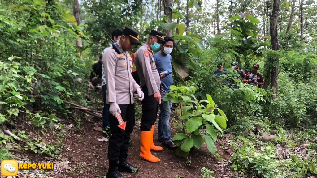 Penemuan Lansia Ponorogo dan 5 Insiden Mengejutkan di Hutan Trenggalek