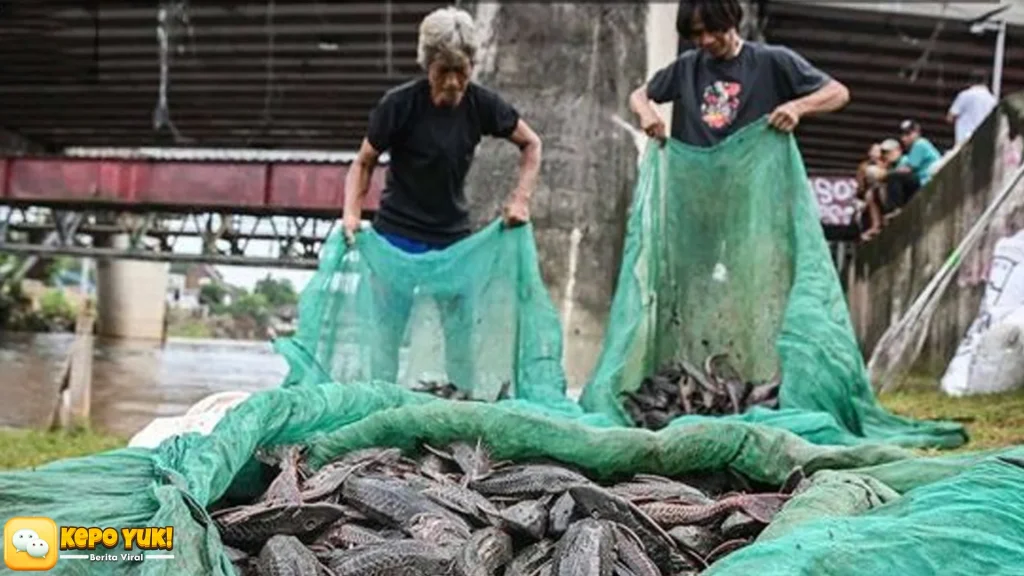 Satpol PP Gerak Cepat Amankan 5 Pria Pemburu Ikan Sapu