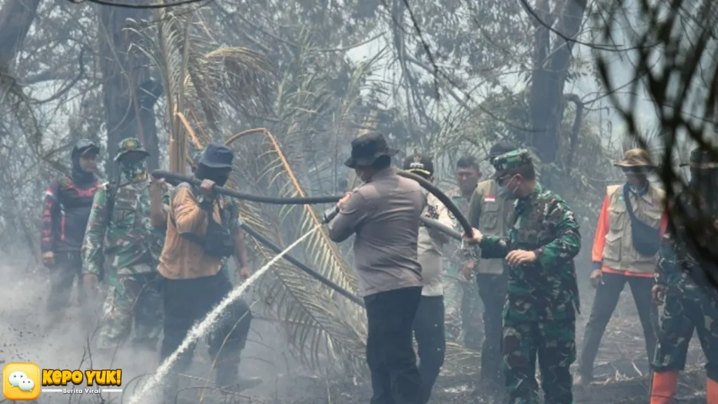 BNPB Catat Luas Kebakaran Lahan Riau Jadi 3456 Hektare
