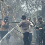 BNPB Catat Luas Kebakaran Lahan Riau Jadi 3456 Hektare