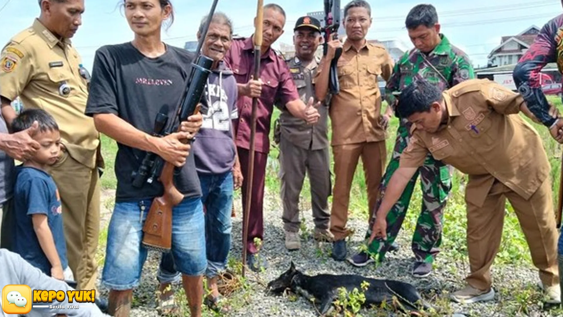 3 Anjing Liar Serang Bocah 5 Tahun di Polman Satu Ditembak Warga