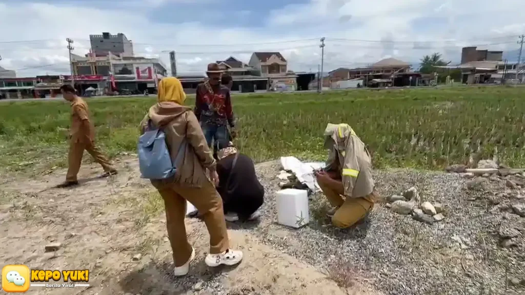 3 Anjing Liar Serang Bocah 5 Tahun di Polman Satu Ditembak Warga