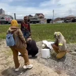 3 Anjing Liar Serang Bocah 5 Tahun di Polman Satu Ditembak Warga