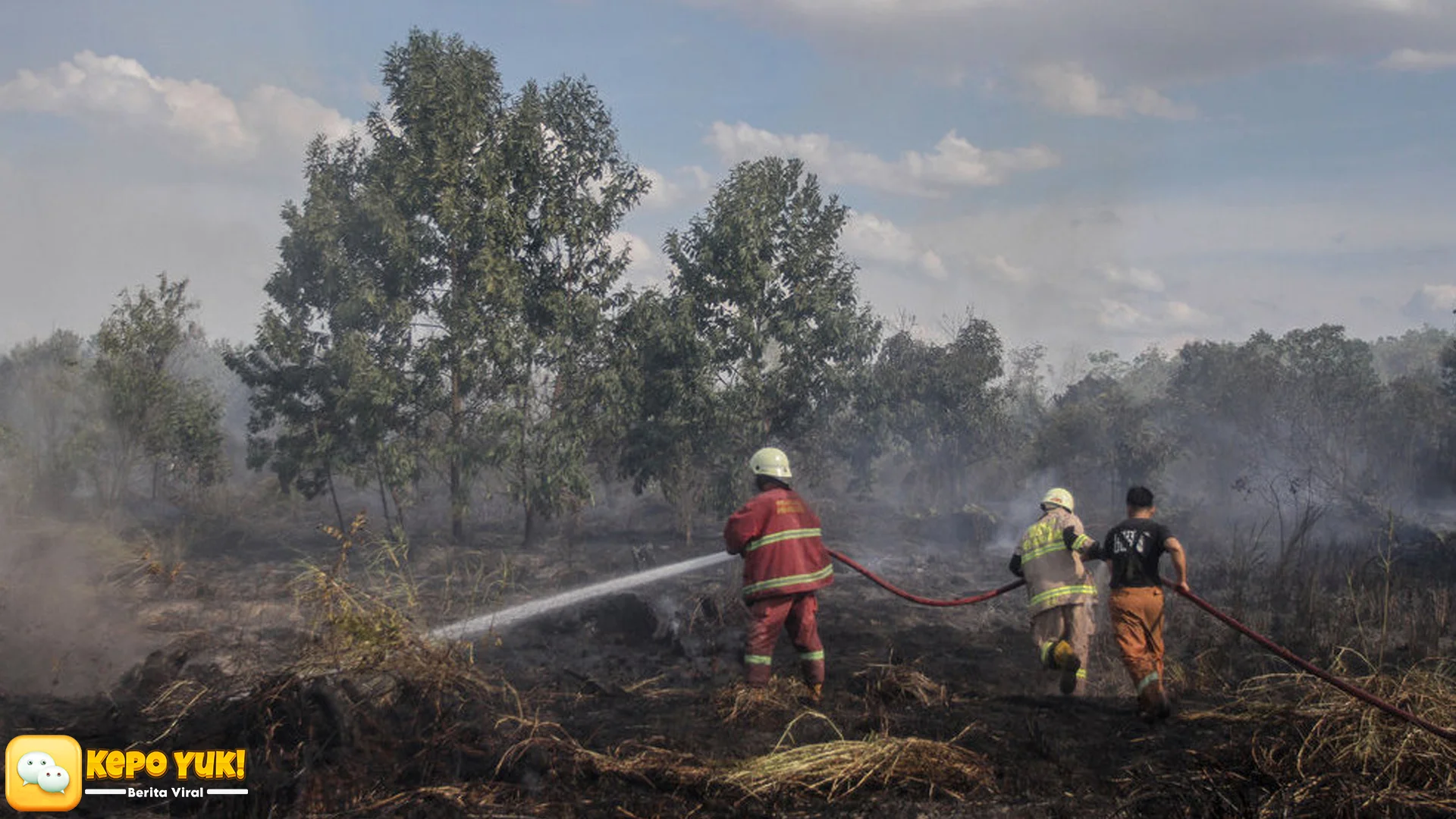 BNPB Catat Luas Kebakaran Lahan Riau Jadi 3456 Hektare