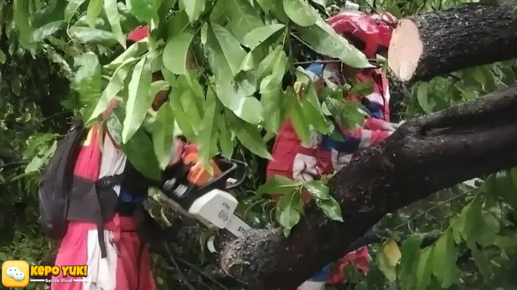 Cuaca Ekstrem Bekasi 5 Kecamatan Diterjang 31 Pohon Roboh